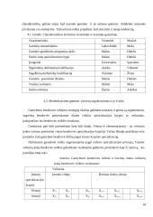 Gaminio tobulinimo sistemos įdiegimo galimybių tyrimas 18 puslapis