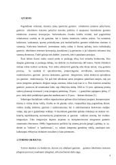 Gaminio tobulinimo sistemos įdiegimo galimybių tyrimas 4 puslapis