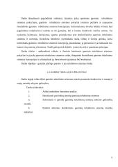 Gaminio tobulinimo sistemos įdiegimo galimybių tyrimas 5 puslapis