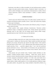 Gaminio tobulinimo sistemos įdiegimo galimybių tyrimas 7 puslapis