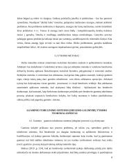 Gaminio tobulinimo sistemos įdiegimo galimybių tyrimas 8 puslapis