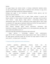 Gamybinės paskirties pastato Šiauliuose stogo įrengimo technologiniai sprendimai 15 puslapis