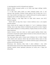 Gamybinės paskirties pastato Šiauliuose stogo įrengimo technologiniai sprendimai 20 puslapis