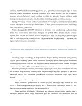 Gamybinės paskirties pastato Šiauliuose stogo įrengimo technologiniai sprendimai 10 puslapis