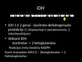 Genų mutacija IDH 2 puslapis