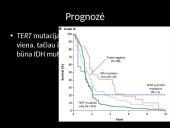 Genų mutacija IDH 15 puslapis