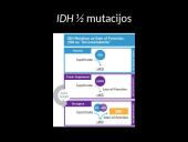 Genų mutacija IDH 3 puslapis