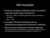 Genų mutacija IDH 4 puslapis