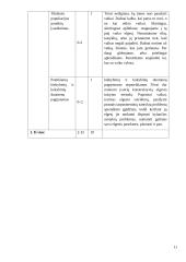 X universiteto protinės atminties gerinimas 11 puslapis