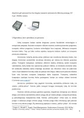 "Girteka Logistics"  strateginės problemos  5 puslapis