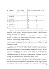 "Girteka Logistics"  strateginės problemos  7 puslapis