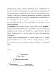 "Girteka Logistics"  strateginės problemos  9 puslapis
