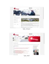 „Girteka Logistics“ – įmonės rinkodaros analizė 11 puslapis