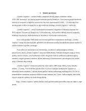 „Girteka Logistics“ – įmonės rinkodaros analizė 2 puslapis