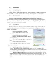 „Girteka Logistics“ – įmonės rinkodaros analizė 5 puslapis