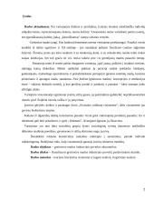 Greitosios mados industrijos poveikis ekonomikai 2 puslapis