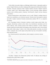 Greitosios mados industrijos poveikis ekonomikai 17 puslapis
