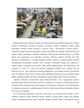 Greitosios mados industrijos poveikis ekonomikai 20 puslapis