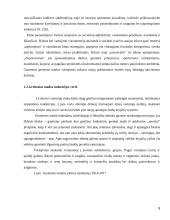 Greitosios mados industrijos poveikis ekonomikai 9 puslapis