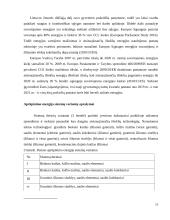 Gyvenamųjų namų kvartalo modernizavimas ir aprūpinimas šiluma 17 puslapis