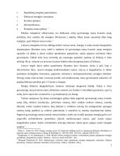 Gyvenamųjų namų kvartalo modernizavimas ir aprūpinimas šiluma 5 puslapis