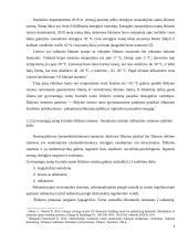 Gyvenamųjų namų kvartalo modernizavimas ir aprūpinimas šiluma 6 puslapis