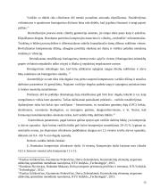 Honingavimas 13 puslapis