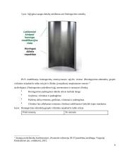 Honingavimas 8 puslapis