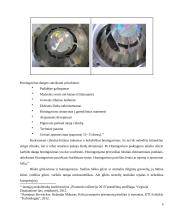 Honingavimas 9 puslapis