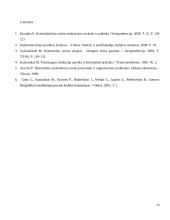 Ikiteisminis tyrimas Švedijoje 13 puslapis