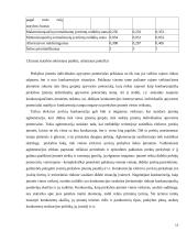 Įmonės skverbimosi į Baltijos šalių rinkas analizė 11 puslapis