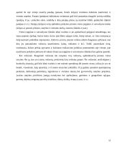 Įmonės skverbimosi į Baltijos šalių rinkas analizė 13 puslapis