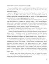 Įmonės skverbimosi į Baltijos šalių rinkas analizė 3 puslapis