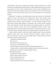 Įmonės skverbimosi į Baltijos šalių rinkas analizė 8 puslapis