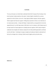 Internship report PLC „Prime Leasing“ 20 puslapis