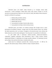 ,,Like baldai”. Investicijų valdymo projektas 3 puslapis