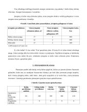 ,,Like baldai”. Investicijų valdymo projektas 7 puslapis