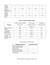 ,,Like baldai”. Investicijų valdymo projektas 8 puslapis