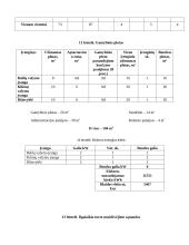 ,,Like baldai”. Investicijų valdymo projektas 10 puslapis