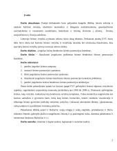 Įreguliari šeima bendrosios šeimos kontekste 2 puslapis