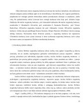 Jaschos Heifetzo konkurso ypatumai Lietuvos stygininkų konkursų kontekste 11 puslapis