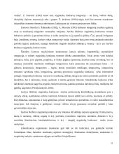 Jaschos Heifetzo konkurso ypatumai Lietuvos stygininkų konkursų kontekste 12 puslapis