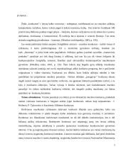 Jaschos Heifetzo konkurso ypatumai Lietuvos stygininkų konkursų kontekste 4 puslapis