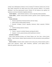 Jaschos Heifetzo konkurso ypatumai Lietuvos stygininkų konkursų kontekste 5 puslapis