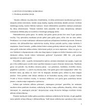 Jaschos Heifetzo konkurso ypatumai Lietuvos stygininkų konkursų kontekste 6 puslapis