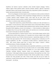 Jaschos Heifetzo konkurso ypatumai Lietuvos stygininkų konkursų kontekste 10 puslapis