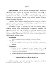 Valdymo organizacinės struktūros, jų tipai, privalumai ir trūkumai 3 puslapis