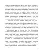 Privataus juridinio asmens organų atsakomybės samprata ir jų kompetencija 5 puslapis