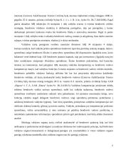 Privataus juridinio asmens organų atsakomybės samprata ir jų kompetencija 7 puslapis