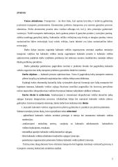 Kabotažo proceso optimizavimas 2 puslapis